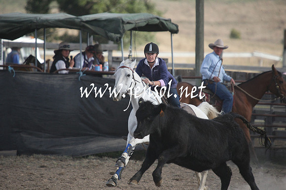 BombalaCampdraft2013Sun_0682