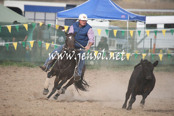 BombalaCampdraft2013Sun_0145
