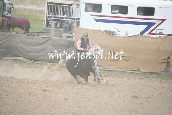 BombalaCampdraft2013Sun_0583