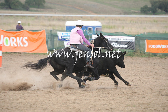 BombalaCampdraft2013Sun_0092