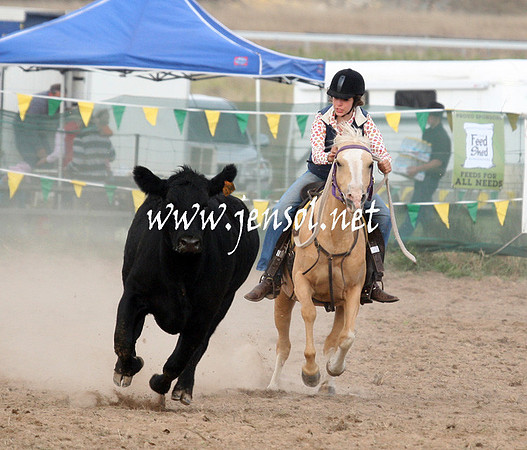 BombalaCampdraft2013Sun_0059