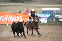 BombalaCampdraft2013Sun_0042