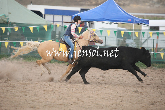 BombalaCampdraft2013Sun_0068