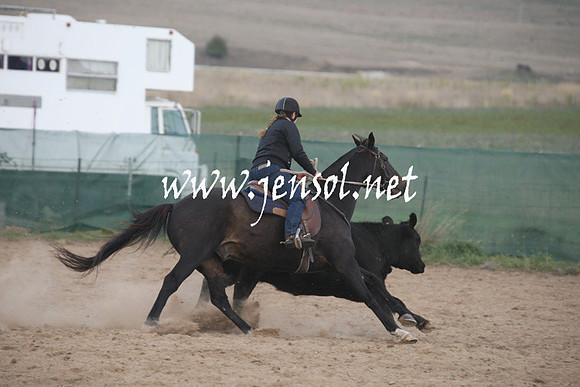BombalaCampdraft2013Sun_0028