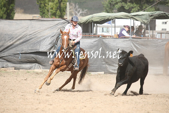 BombalaCampdraft2013Sun_0303