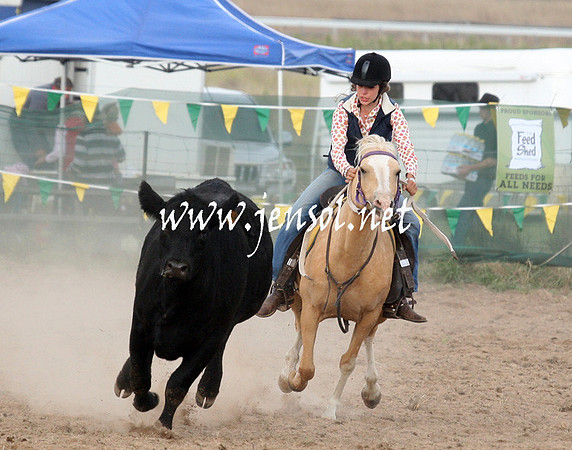BombalaCampdraft2013Sun_0058