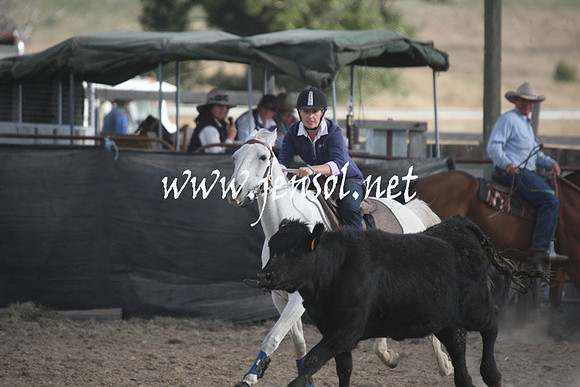 BombalaCampdraft2013Sun_0683