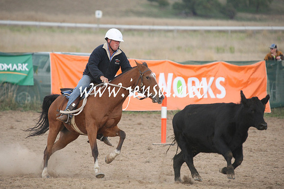 BombalaCampdraft2013Sun_0051