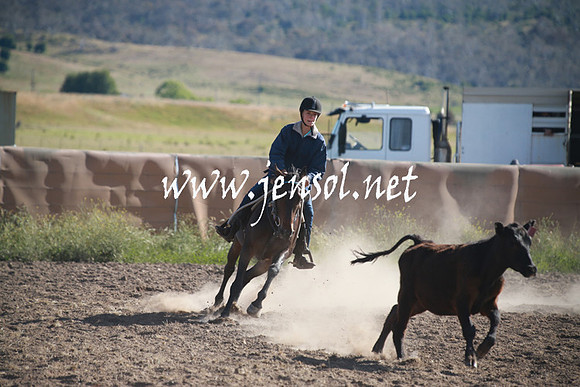 AdaminabyCampdraftSun_0065