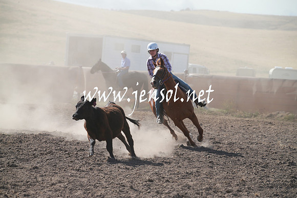 AdaminabyCampdraftSun_0141