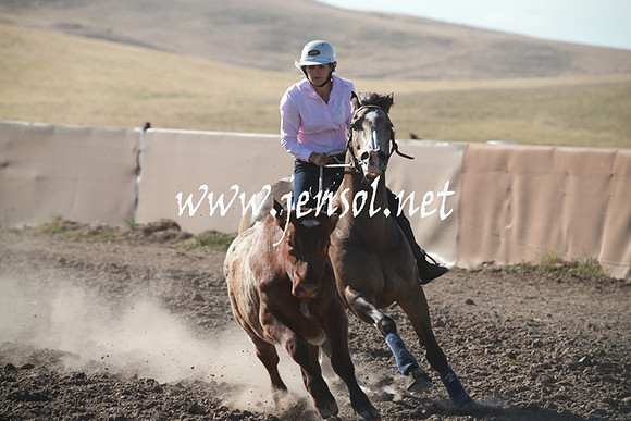 AdaminabyCampdraftSun_0013