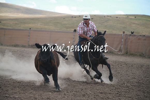 AdaminabyCampdraftSun_0361