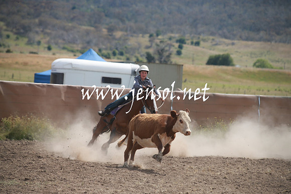 AdaminabyCampdraftSun_0223