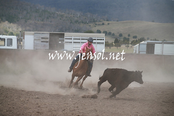 AdaminabyCampdraftSun_0248