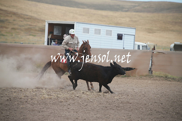 AdaminabyCampdraftSun_0266