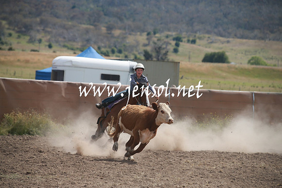 AdaminabyCampdraftSun_0222