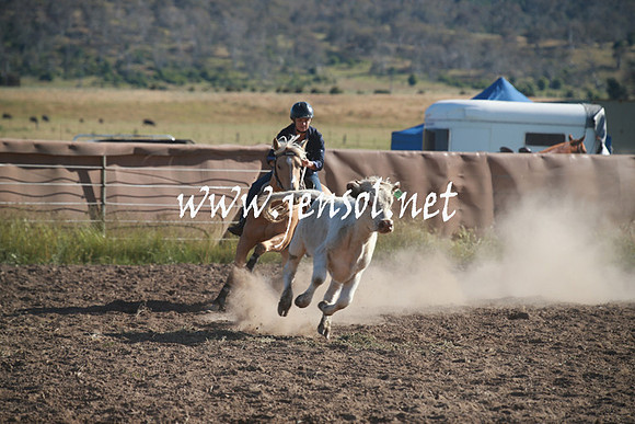 AdaminabyCampdraftSun_0030