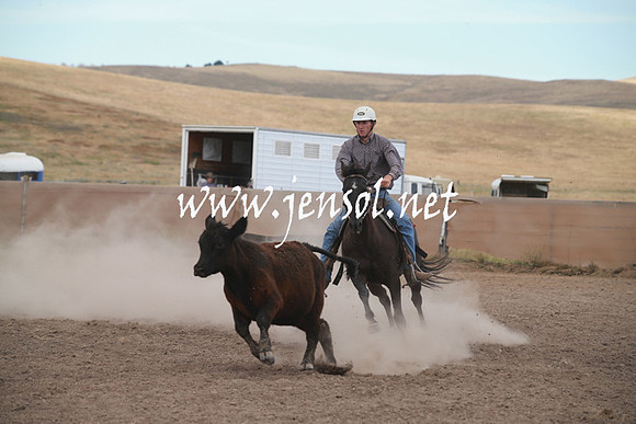 AdaminabyCampdraftSun_0274