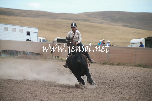 AdaminabyCampdraftSun_0339