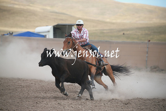 AdaminabyCampdraftSun_0261