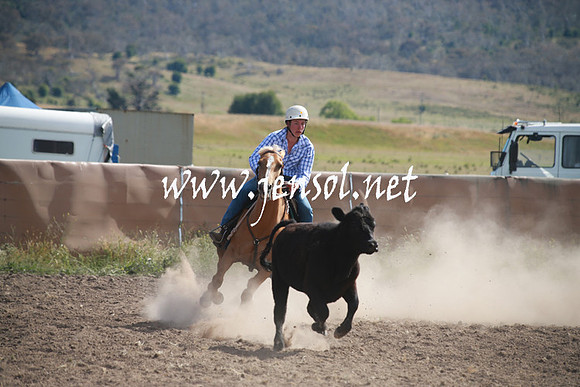 AdaminabyCampdraftSun_0172
