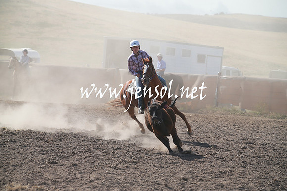 AdaminabyCampdraftSun_0137