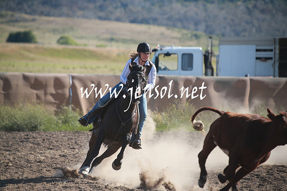 AdaminabyCampdraftSun_0020