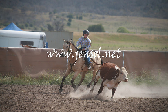 AdaminabyCampdraftSun_0200