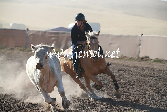 AdaminabyCampdraftSun_0034