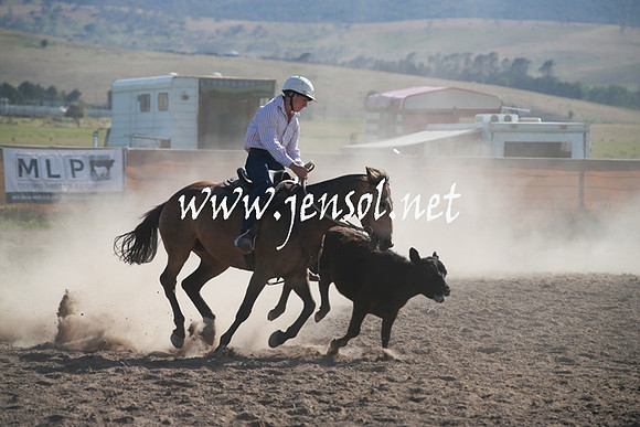 AdaminabyCampdraftSun_0084