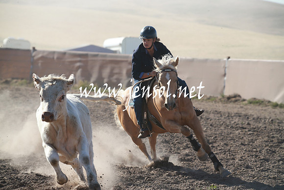AdaminabyCampdraftSun_0035