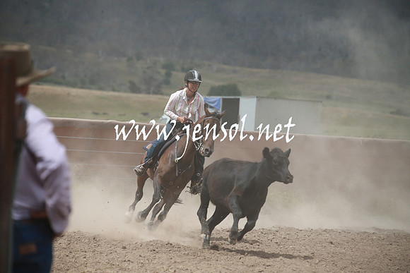 AdaminabyCampdraftSun_0330