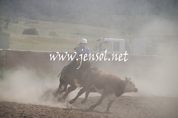 AdaminabyCampdraftSun_0192