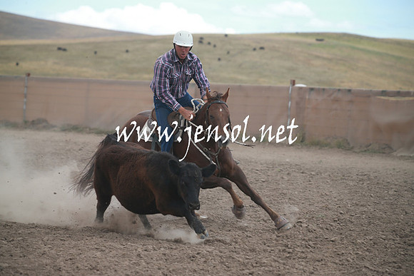 AdaminabyCampdraftSun_0321