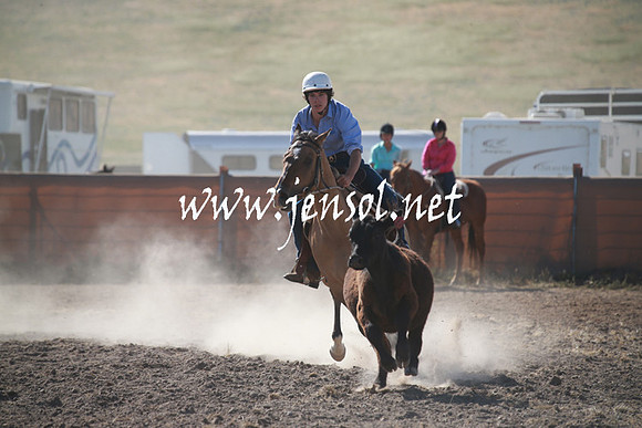 AdaminabyCampdraftSun_0111