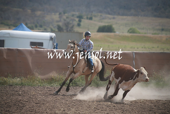 AdaminabyCampdraftSun_0201
