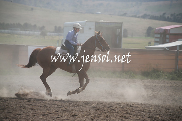 AdaminabyCampdraftSun_0185