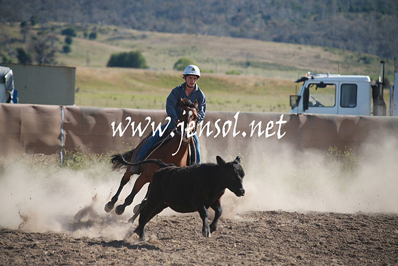 AdaminabyCampdraftSun_0087