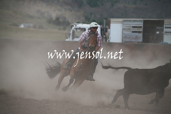 AdaminabyCampdraftSun_0257