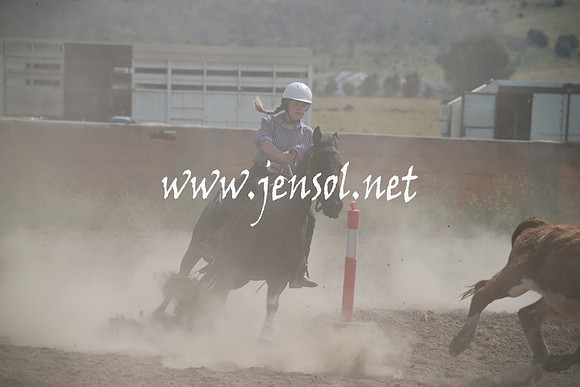 AdaminabyCampdraftSun_0206
