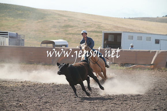 AdaminabyCampdraftSun_0146