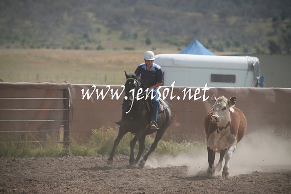 AdaminabyCampdraftSun_0215
