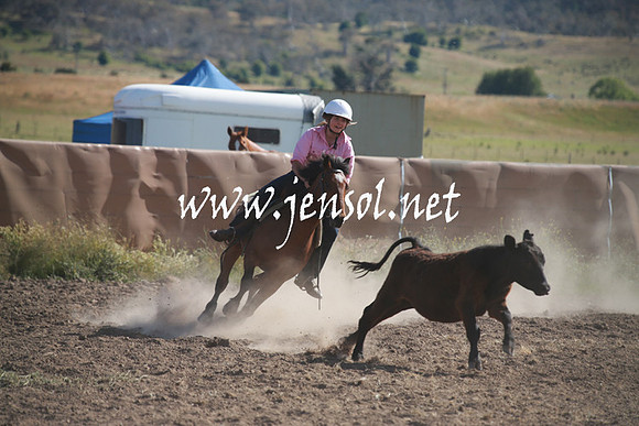 AdaminabyCampdraftSun_0129