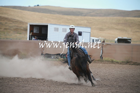 AdaminabyCampdraftSun_0272