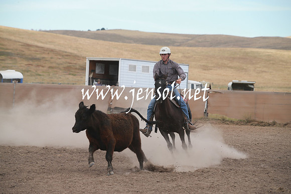 AdaminabyCampdraftSun_0275