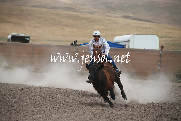 AdaminabyCampdraftSun_0240
