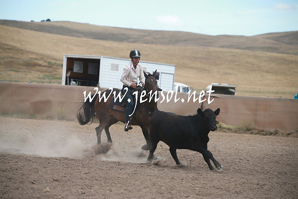 AdaminabyCampdraftSun_0334
