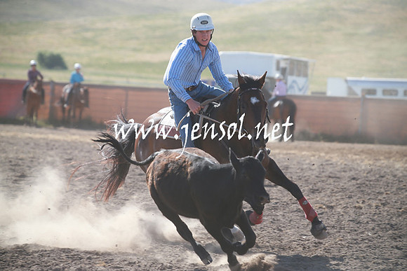 AdaminabyCampdraftSun_0101