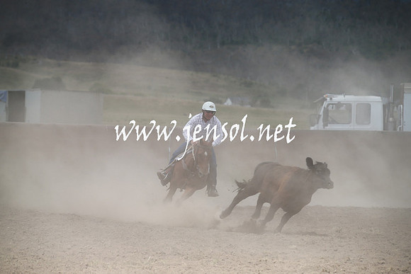 AdaminabyCampdraftSun_0234