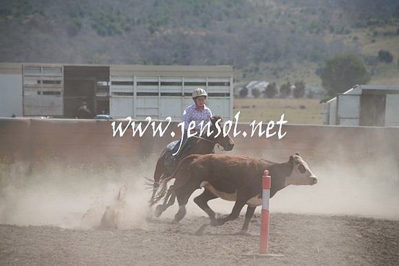 AdaminabyCampdraftSun_0213